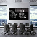 Feed Your Focus Cam Tablo – Cam Tablo