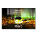 Limits Only Exist In Our Mind Cam Tablo