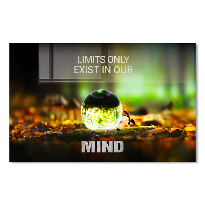 Limits Only Exist In Our Mind Cam Tablo