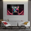 Cool Kedi Cam Tablo – Cam Tablo