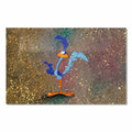Road Runner Cam Tablo