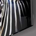 Zebra Cam Tablo