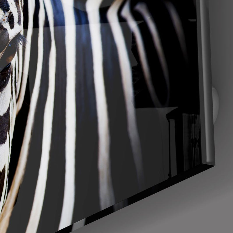Zebra Cam Tablo