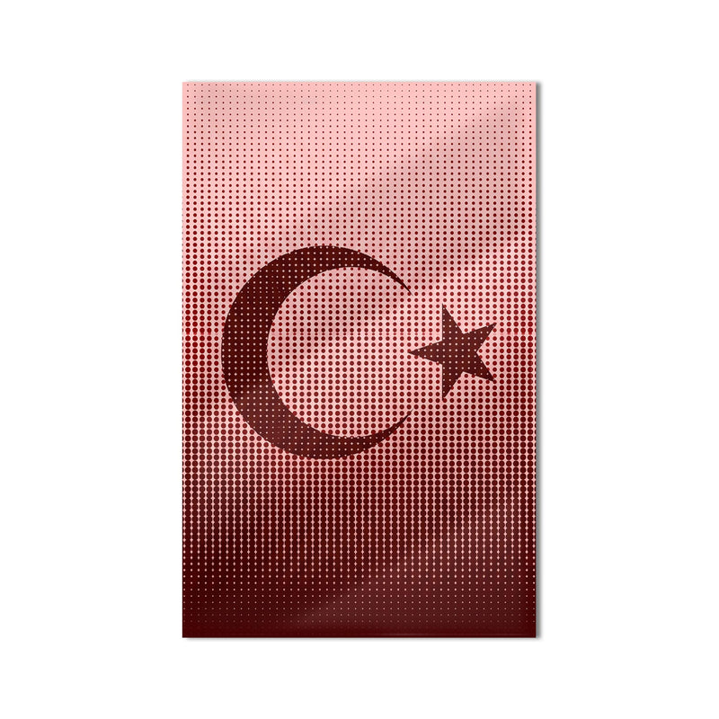 Halftone Nokta Desen Türk Bayrağı Cam Tablo – Cam Tablo