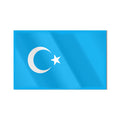 Doğu Türkistan Bayrağı Cam Tablo – Cam Tablo