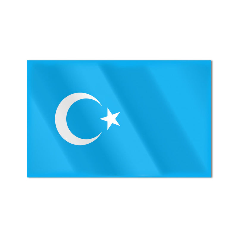 Doğu Türkistan Bayrağı Cam Tablo – Cam Tablo