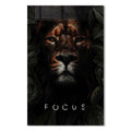 Focus Cam Tablo – Cam Tablo
