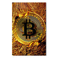 Bitcoin Cam Tablo – Cam Tablo