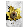 Bitcoin Cam Tablo – Cam Tablo