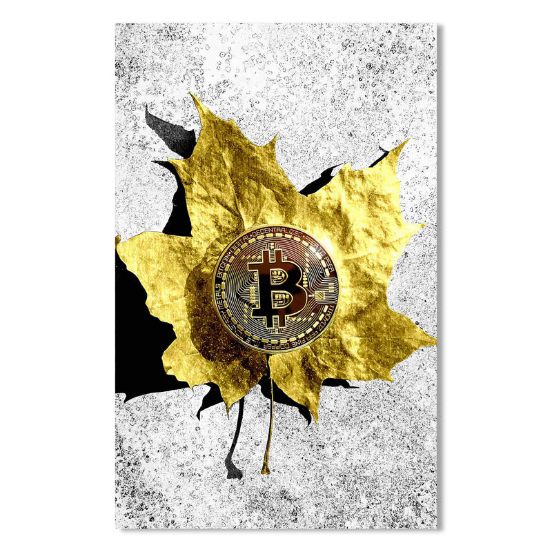 Bitcoin Cam Tablo – Cam Tablo