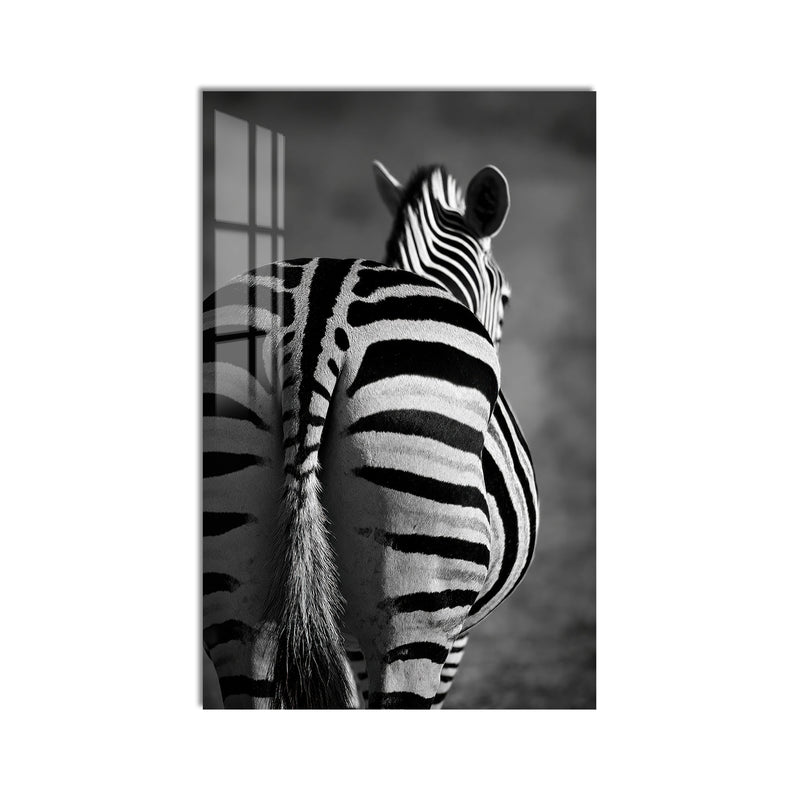 Zebra Sırtı Siyah Beyaz Cam Tablo – Cam Tablo