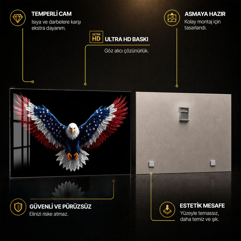 Amerikan Bayraklı Kartal Cam Tablo – Cam Tablo