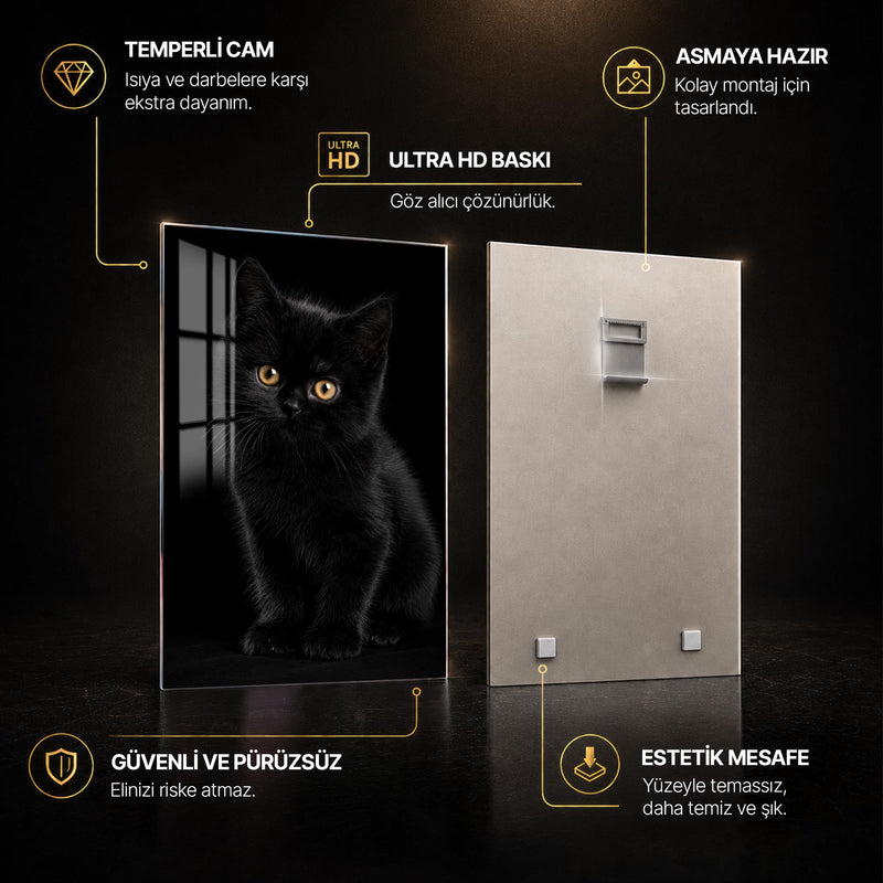 Siyah Yavru Kedi Cam Tablo – Cam Tablo
