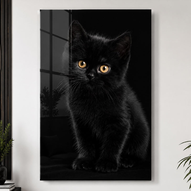 Siyah Yavru Kedi Cam Tablo – Cam Tablo